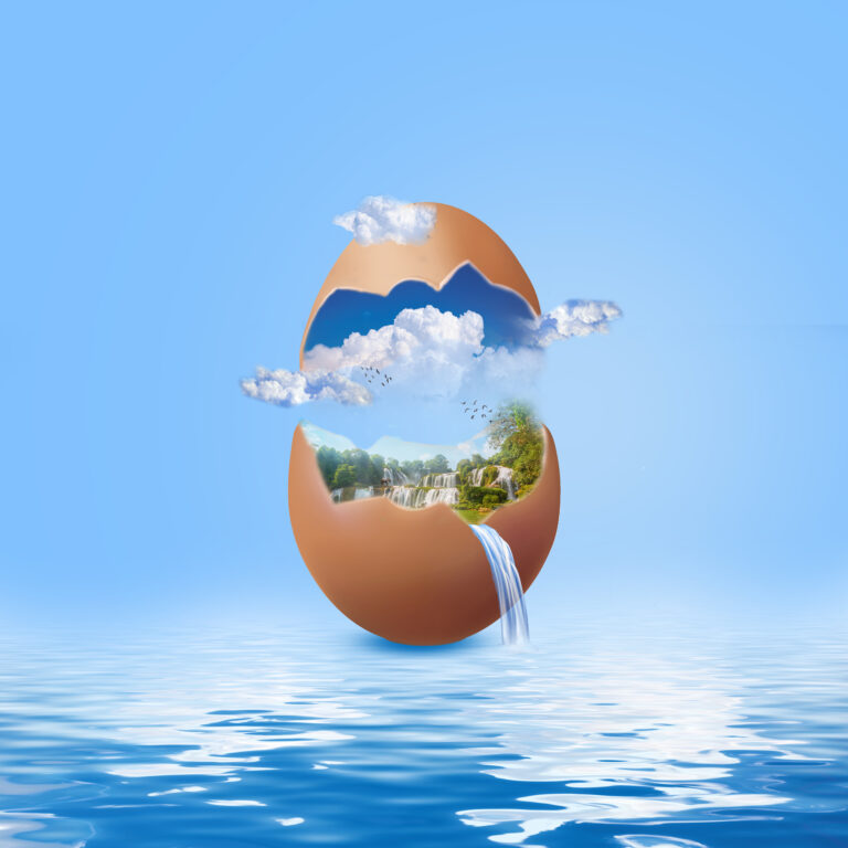 egg design